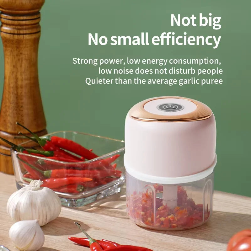 Mini Electric Garlic Chopper & Meat Grinder | USB Rechargeable, Sturdy, Durable Vegetable Crusher | Kitchen Food Processor